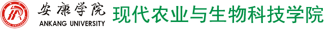 2026世界杯官网